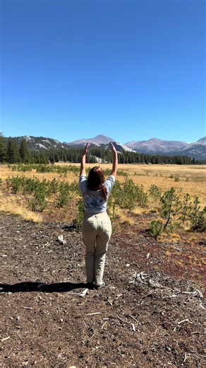 Letting it Grow at Tuolumne Meadows, Yosemite