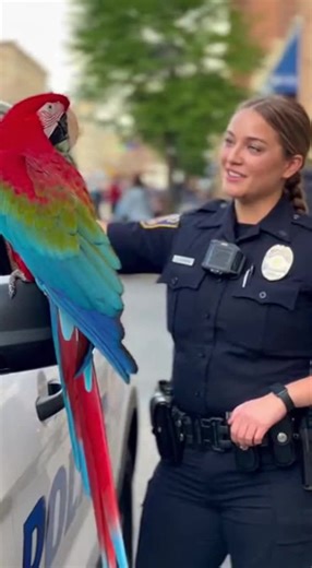 Last Words, Big Question 💍😂 Just when you think it’s over, the parrot drops the biggest question of all. A bold ending, lots of laughter, and pure viral fun 🦜🚓 #parrotlover #funnypets #talkingparrot #funnyreels #funnyanimals