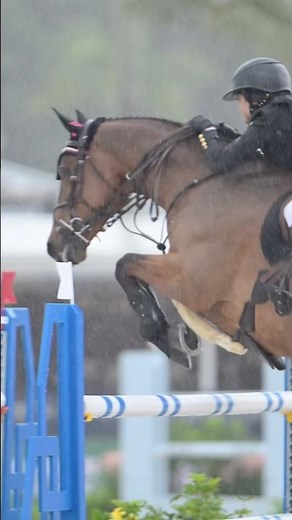 jumping in pouring rain? not ideal.. the footage? INSANE 🌧️ #showjumping#equestrian#horsejumping