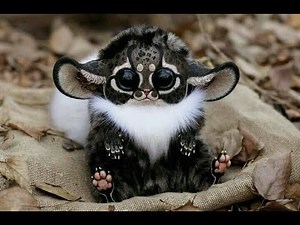 Is that a Furby? Here are the 10 Weirdest Animals That Actually Exist!