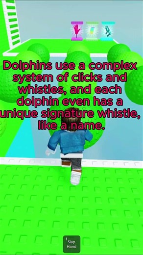 The Secret Signals Animals Use to Communicate 🐬