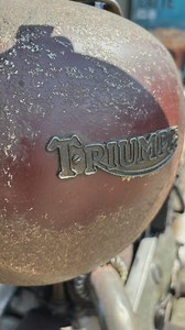 1949 Speed Twin almost all original with some small changes to keep it on the road for the last 75 years!! #aceclassicslondon #aceclassics #onlyoriginalonce #triumph #preunittriumph #sprunghubtriumph #triumphpreunit #triumphuk #triumphmotorcycles #triumphofficial #triumphnation #triumphworld #triumphspeedtwin #speedtwin | Ace Classics