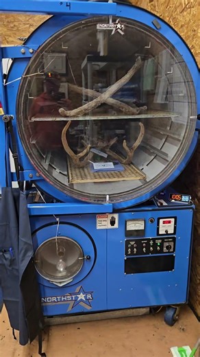 Dropping off some velvet Axis antlers to have them freeze dried! #taxidermy #axisdeer #taxidermist