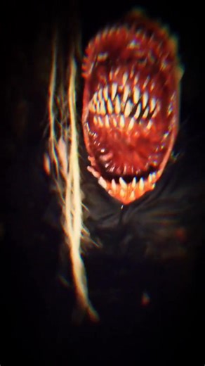 Doncaster Fear Factory delivered in 2024 with a brand new maze and 4 other solid attractions... This year looks set to be even better with 2 attractions being completely replaced, and more! Are you planning to visit? | Thrill Nation