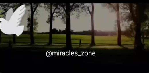 UZABE INTWARI _ Niyo Bosco #🫡🫡🫡#miracles_zone #trendingvideo #newvideo #gospel #fyppppppppppppppppppppppp #fy #lol #greenscreen #🙏🙏🙏