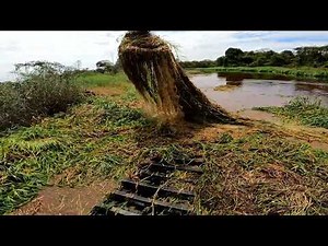 beko besar amphibious excavator normalisasi sungai pelalawan sarang ikan predator riau part 7