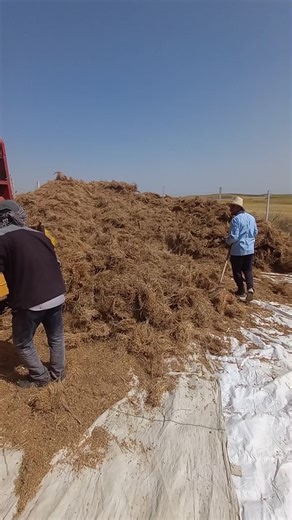 Vidéos de فلاحة الغرب 🚜👩‍🌾 (@hajjajiadil) avec son original - الغرباوي