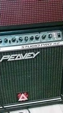 Can't afford an Expensive Tube Amp? Try a Peavey Studio Pro 112