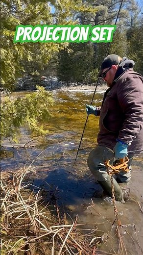 How to trap a beaver with foothold traps