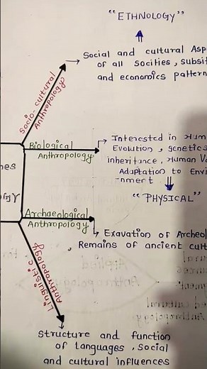 Main Branches of Anthropology | Anthropology optional paper1#ytshorts#study#new