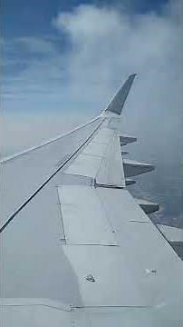 How Spoilers and Flaps mechanism work on airplane wing during landing #airplaneflying #mechanisms
