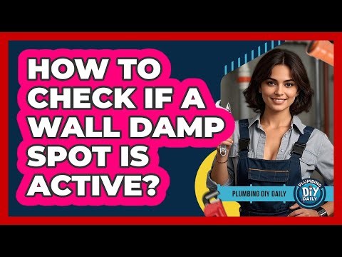 How To Check If A Wall Damp Spot Is Active?