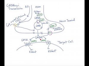 Schneid Guide to GABAergic Transmission