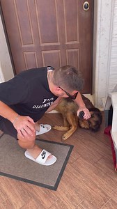 Ma solo io dico adesso vengo al mio cane? | Gianni Quirino Bekkalossi