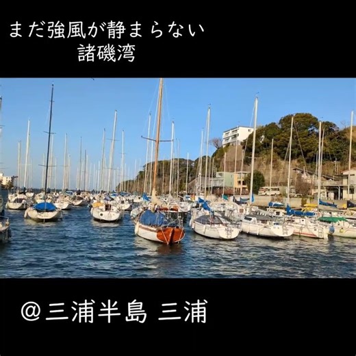 強風で身動きがとれないヨット、諸磯湾でも #嵐 #海#ヨット