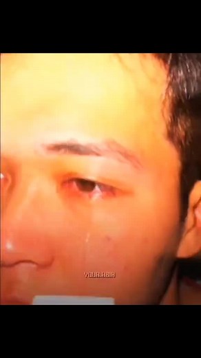 N.d. Pigeon loft (@n.d.pigeon.loft)’s videos with original sound - A B I R