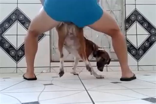 Exclusive content you must watch 👀🔥 #zoo #zoophilia Best compilations 🎥🎞️ DROPPING EVERYDAY #zooisvalid ⬇️⬇️Get yours!!https://t.co/uSmFVSuJWr