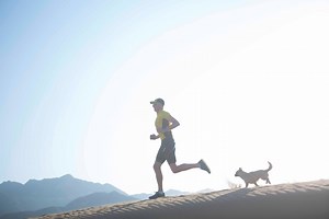 Dion and Gobi caught up with Jenna Bush from the NBC Today Show in New York's Central Park and spoke about the release of their book Finding Gobi, the heartwarming, inspirational and true story of 2016 that has taken the world by storm. | Finding Gobi