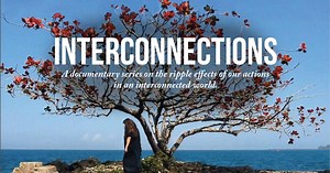 Interconnections