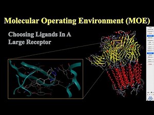 Choosing Ligands In A Large Receptor In MOE | MOE Tutorial