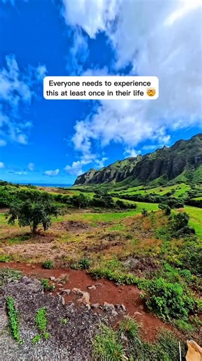 What if I told you there’s a place on Oahu where movie worlds come alive, mountains hide ancient secrets, and you can stand where some of the biggest blockbusters were filmed? 👀🔥 Kualoa Ranch isn’t just a ranch… It’s one of the most famous filming locations on the planet — and the moment you arrive, you’ll understand why. Towering cliffs, lush valleys, secret beaches, and trails that feel like stepping into another world. Just a few of the adventures you can do here: • Jurassic Adventure Tour 
