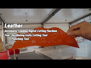Leather cutting machine with oscillating knife tool and punching tool