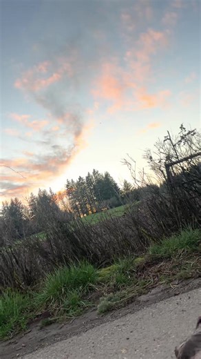 Def not in the middle of the road