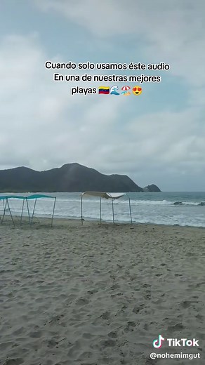 Cuentas recomendadas