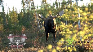 Quite possibly the most epic footage of a Moose kill by bow ever captured on tape! | Flying Arrow Archery