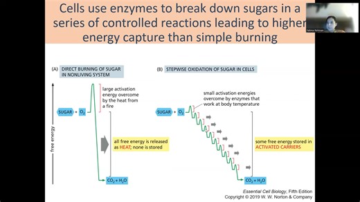 General Biology Lectures