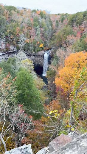 11.01.25 - Foster Falls, Tennessee. My iPhone didn't do the colors...