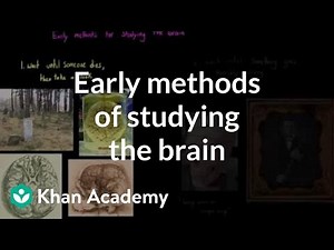 Early methods of studying the brain | Organ Systems | MCAT | Khan Academy