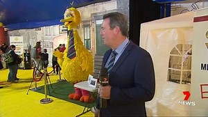 3.8K views · 39 reactions | Big Bird is back. The iconic, bright yellow costume stolen from a Bonython Park circus over the weekend has been returned. South Australia's most wanted thieves dumped it under the cover of darkness, with a letter of apology. 7NEWS Adelaide at 6pm | 7news.link/3atDIlj #7NEWS | 7NEWS Adelaide | Facebook