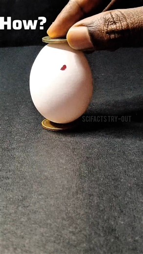 Can You Explain This? 🤔 #experiment #diy #shorts #science #physics #egg #spin