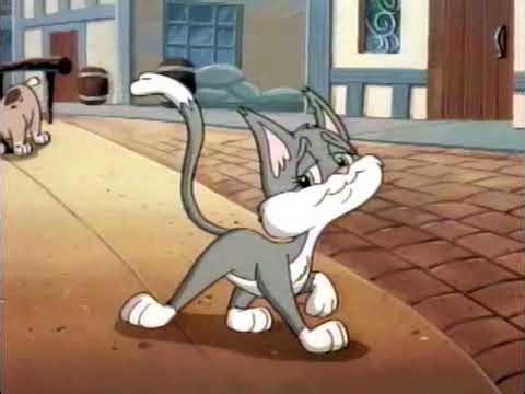 Animaniacs - Witch One Songs [Spooky Stuff VHS]