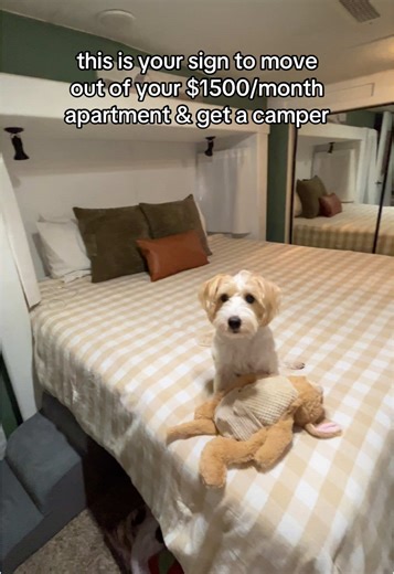 we love our tiny home!!🚐 #rvlife #rvlivingfulltime #rvlifestyle #rvtour #fyp #foryoupage