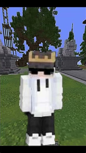 Application for Royal SMP @MaxCritXD