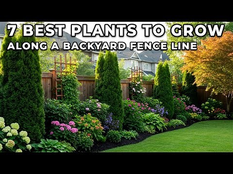 7 Best Plants to Grow Along a Backyard Fence Line