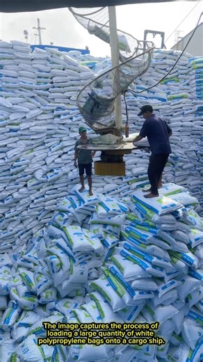 Loading Animal Feed Bags onto a Cargo Vessel