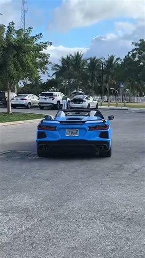 Cool C8 Corvette revving engine #carlover #cars #carshorts #corvette #entertainment #trending