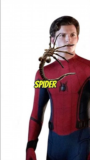 What if the Facehugger Attacks Spider-Man