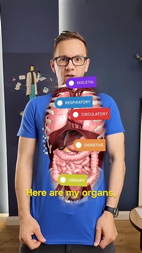 This amazing T-shirt is available again! (It hasn't been for years.) The world’s coolest T-shirt or the best medical educational app… or both? Curiscope can show “my” organs. It’s a really well-executed augmented reality (AR) animation! Kids love it! | The Medical Futurist