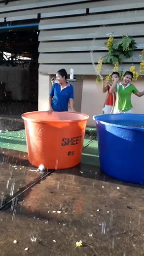 dythh31capmb บน TikTok