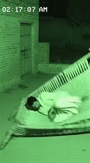 “The Glitching Cat in the Courtyard | Disturbing Night Vision Footage” #foundfootage #horrorshorts