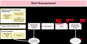 Bed management - Alchetron, The Free Social Encyclopedia