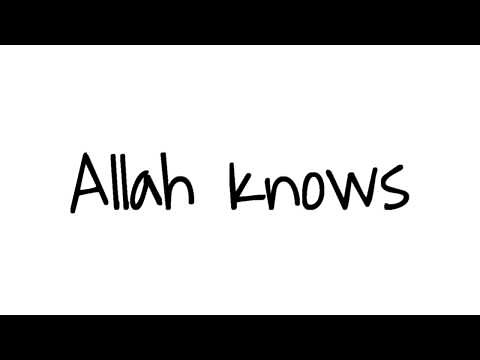 ALLAH Knows - Zain Bhikha (lyrics)