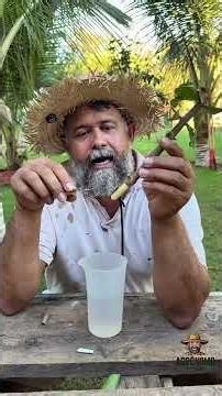 Faça isso para enraizar suas mudas. #solo #dicas #agro #interior