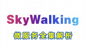 微服务组件SkyWalking全集解析！