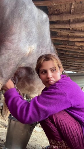 Dipsika Sharma's Relaxing Swimming Pool Moments