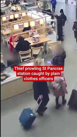 Thief Caught Stealing at London St Pancras Station